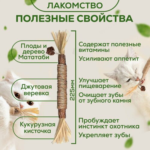 фото Игрушка-дразнилка из мататаби для кошек. лакомство для чистки зубов с эффектом кошачьей мяты, 2 штуки dc
