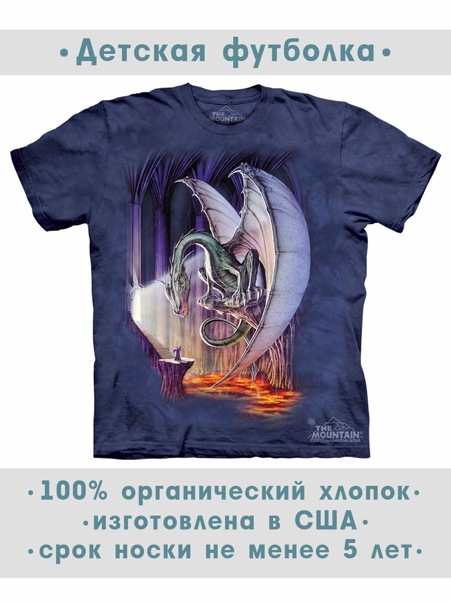 Футболка детская The Mountain "Dragon Lair"