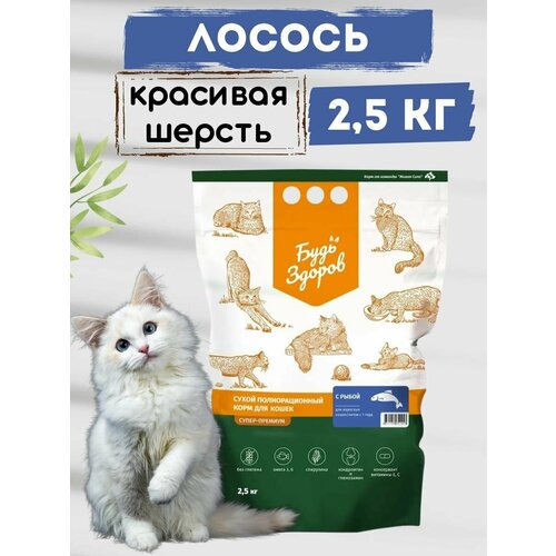 Корм для кошек Будь Здоров