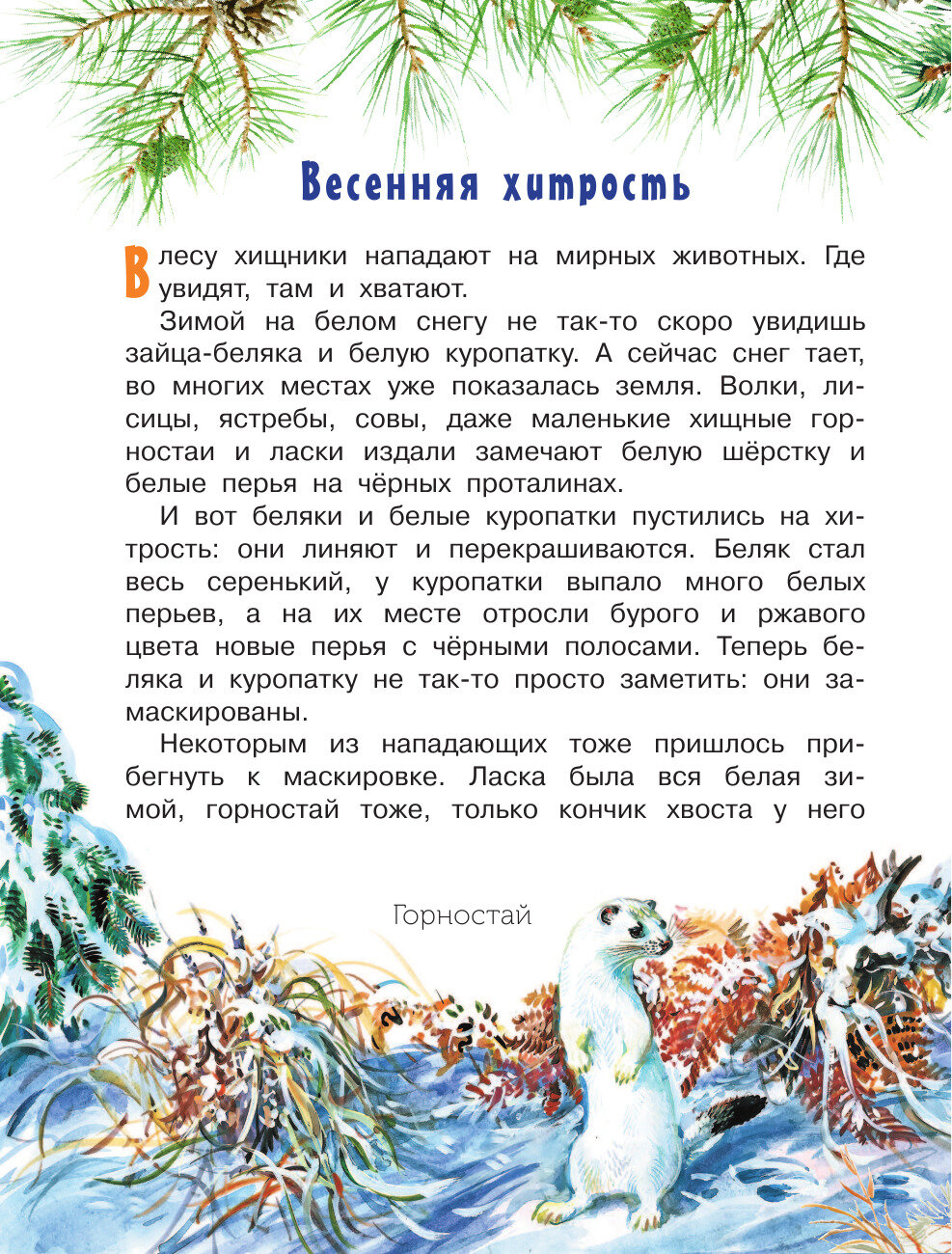 Лесная газета (Бианки Виталий Валентинович) - фото №18