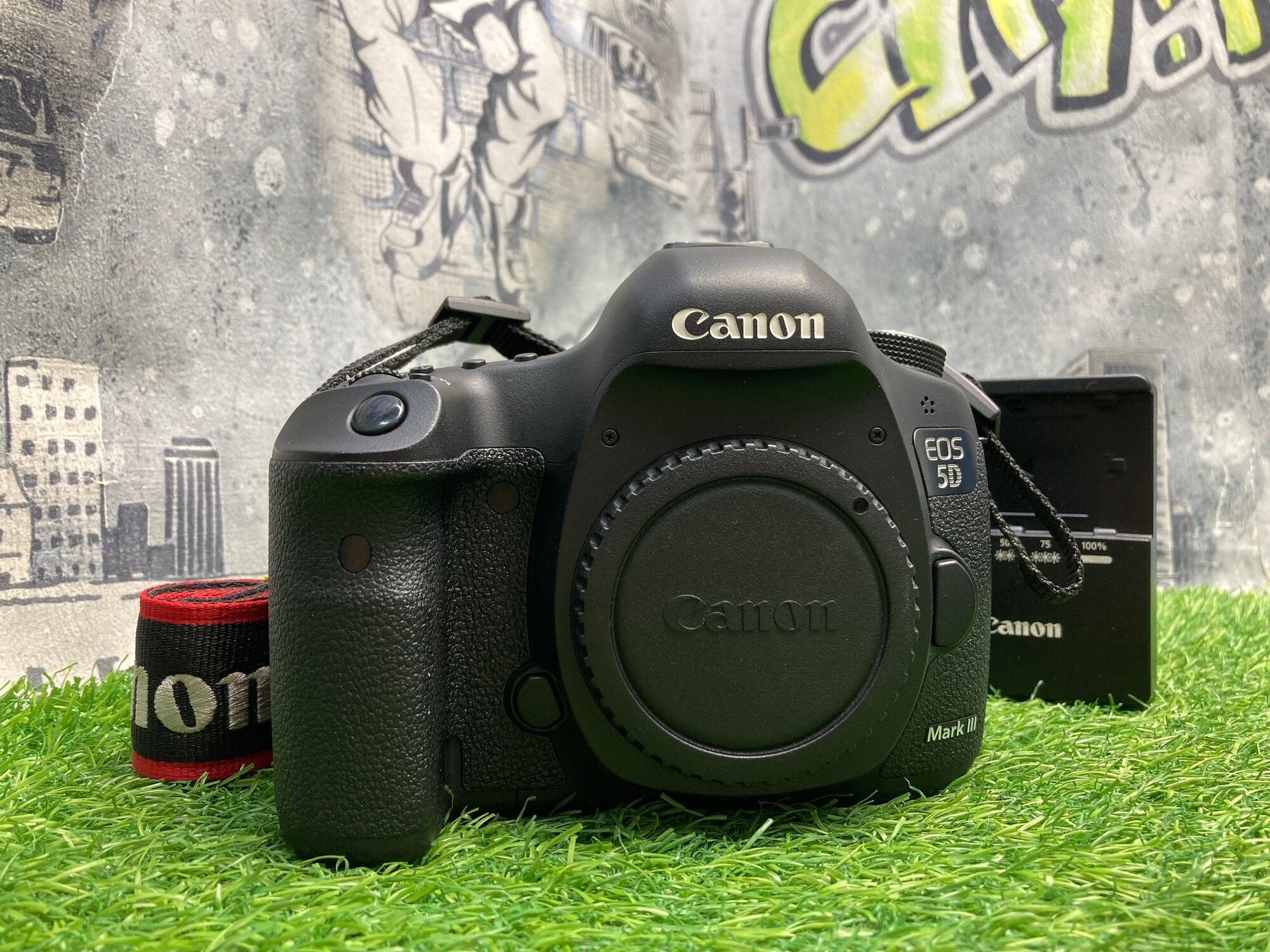 Canon EOS 5D Mark III 300 кадров