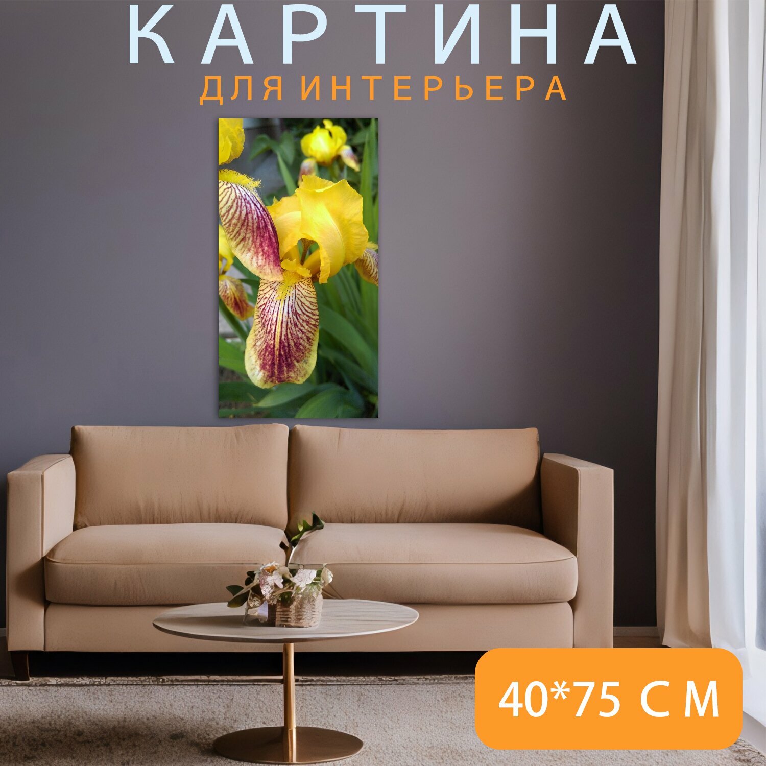 Картина на холсте "Ирис, желтый, лето" на подрамнике 40х75 см. для интерьера