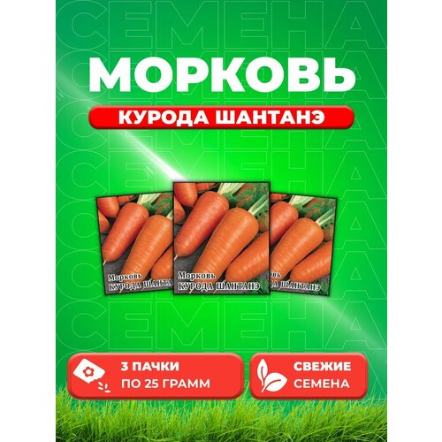 Морковь Курода Шантанэ 25,0 г (3уп)