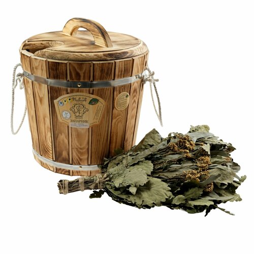 Запарник с нержавеющей вставкой и крышкой 20 л термокедр