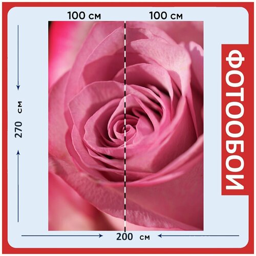 Фотообои Роза цветок розовый 200x270 см флизелиновыена стену 2980₽