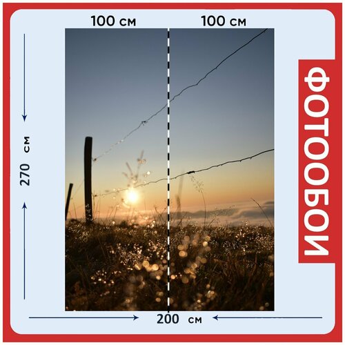 Фотообои Восход солнца черный лес фокус 200x270 см флизелиновыена стену 2970₽