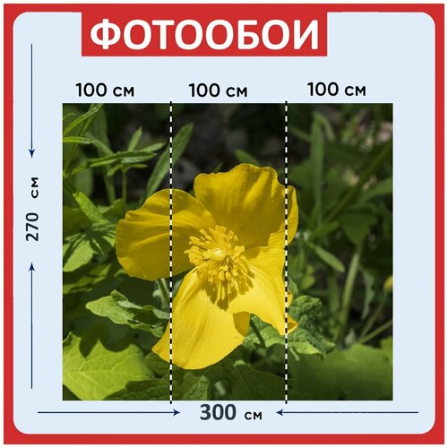 Фотообои Желтый цветок желтый цветок 300x270 см флизелиновыена стену 3970₽