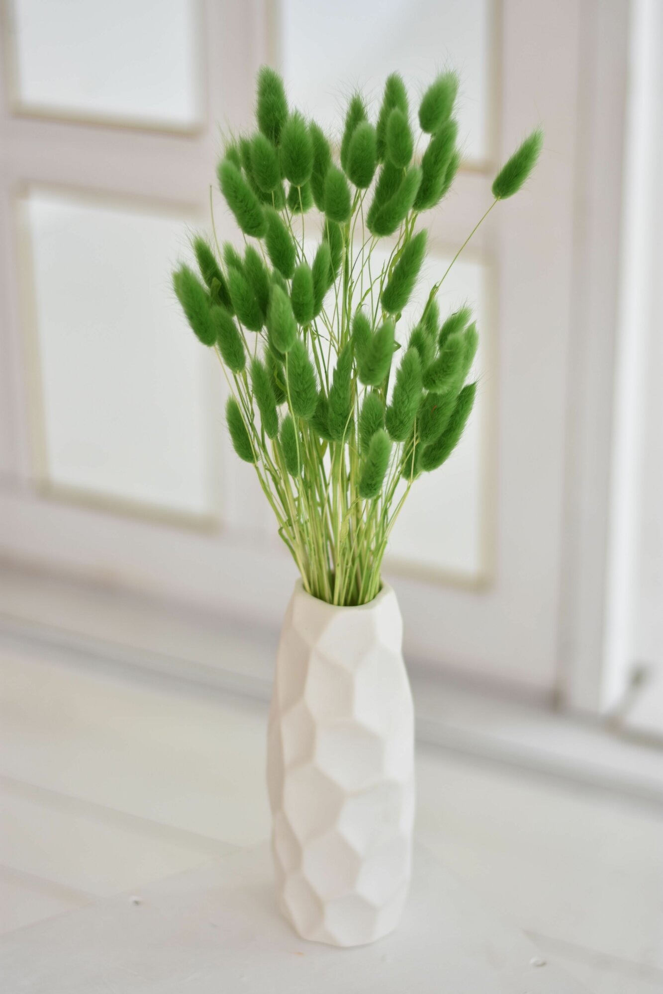 Сухоцвет Лагурус для декора Trava Decor букет цветов для вазы, зеленая — фото 1