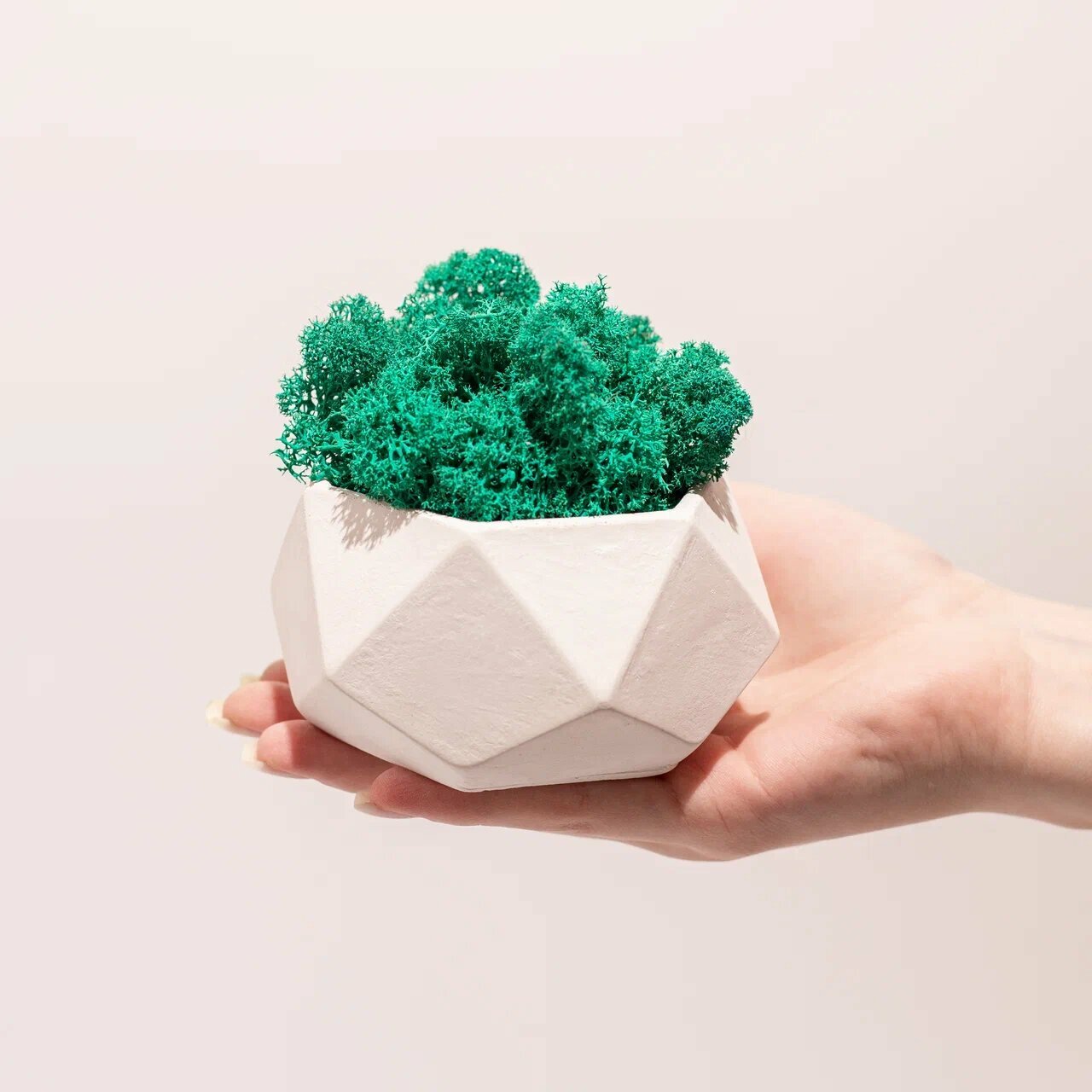 фото Кашпо со мхом MOSSPOT, темно-зелёный