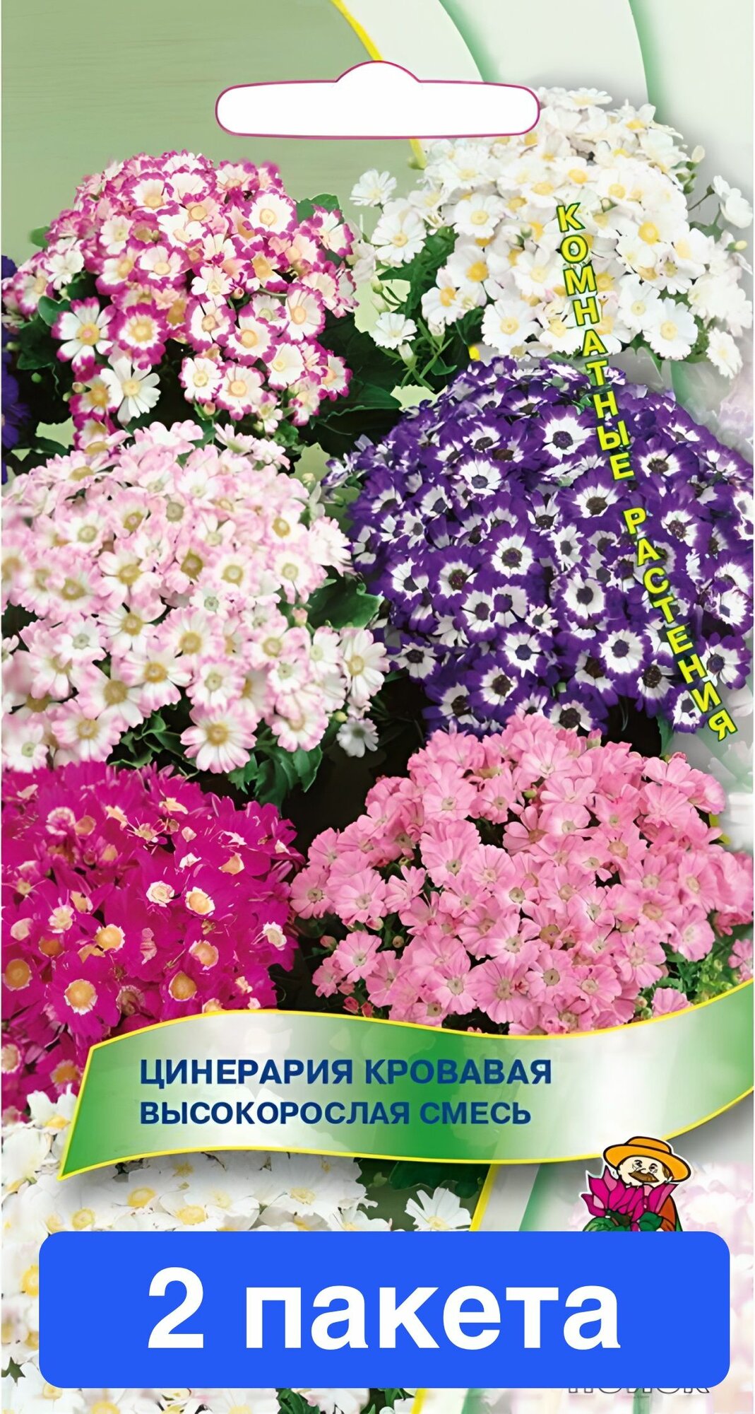 Цветы Цинерария кровавая Высокорослая 2 пакета