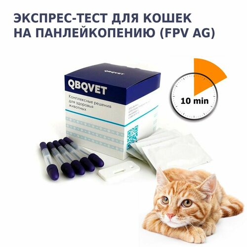 Экспресс-тест QBQVET для выявления антигена вируса панлейкопении кошек (FPV Ag), 1шт