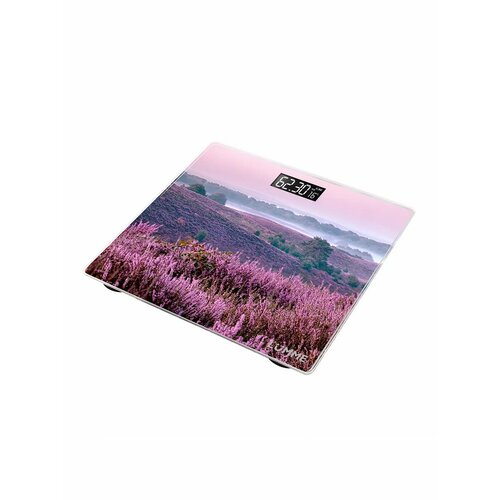 Весы напольные для веса стеклянные с термометром 26х26 438₽