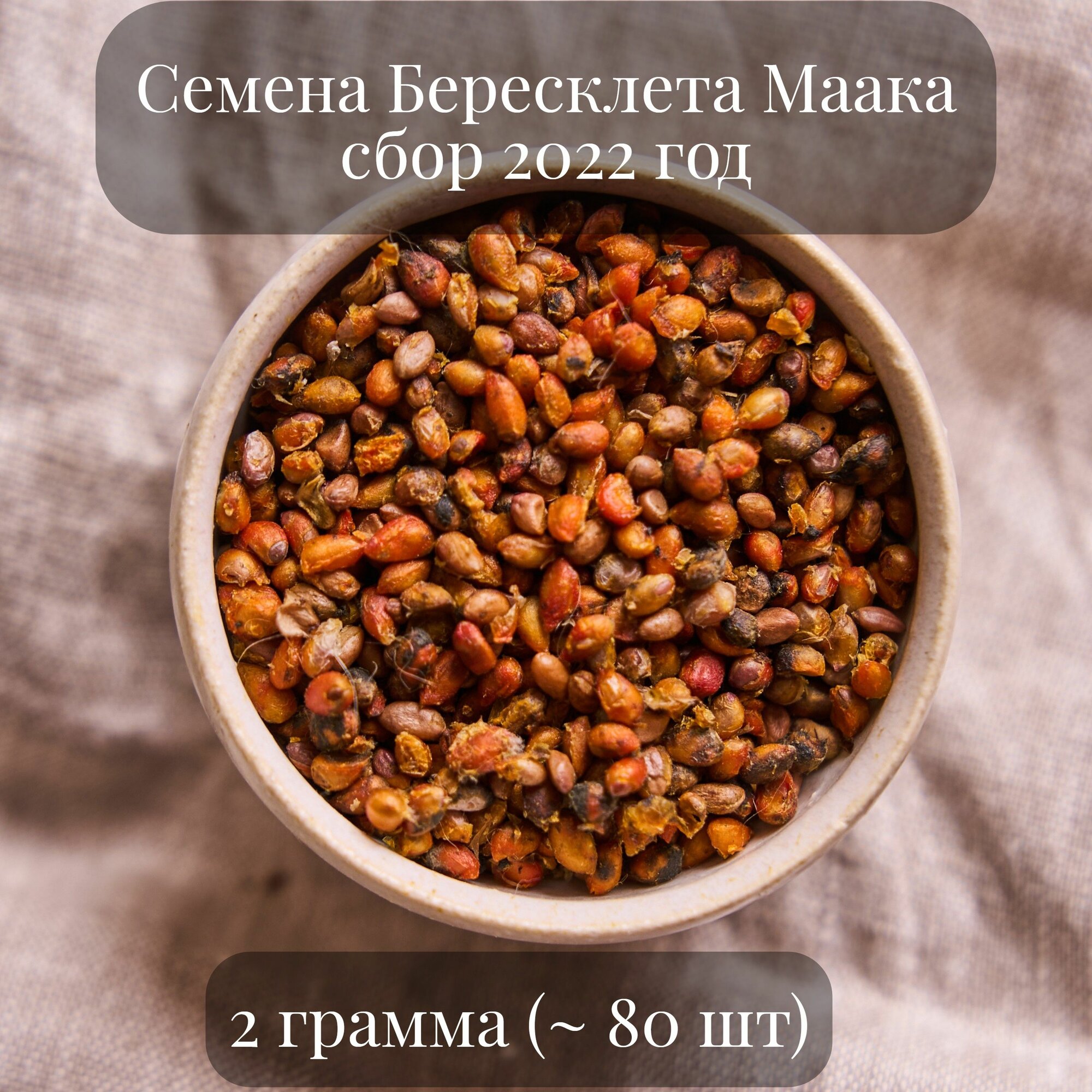 Семена Бересклета Маака, 2...