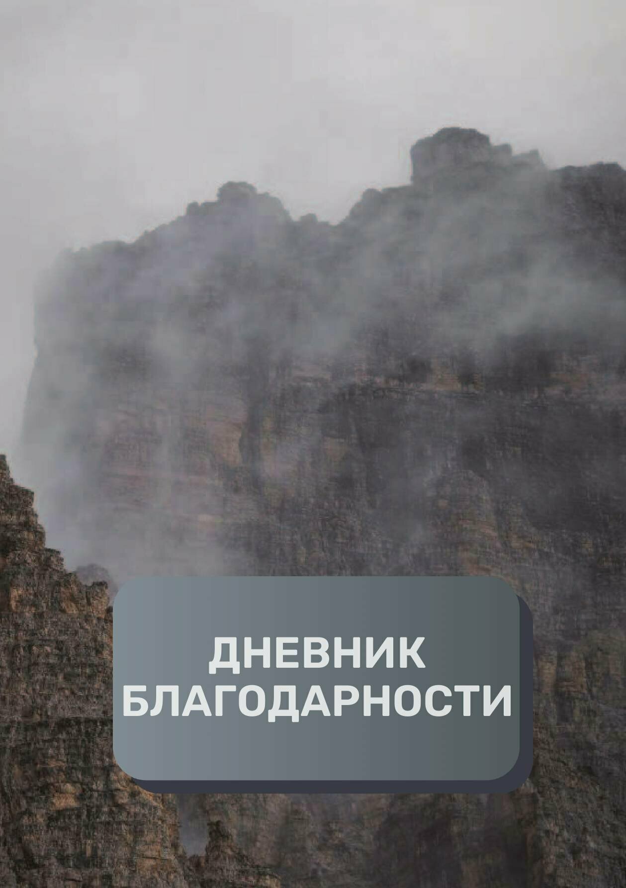 Дневник благодарности, премиум (подарочное) издание, 100 страниц
