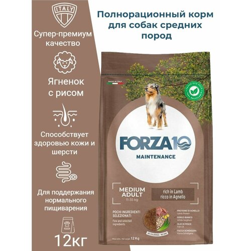 Сухой корм для собак Forza10 Maintenance всех средних пород ягненок /рис / 12 кг