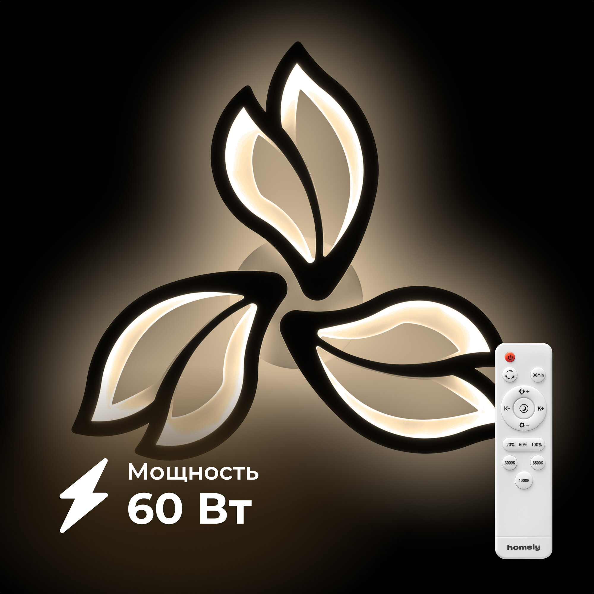 Люстра светодиодная Homsly, 60 Вт, ACL_038, с пультом дистанционного управления