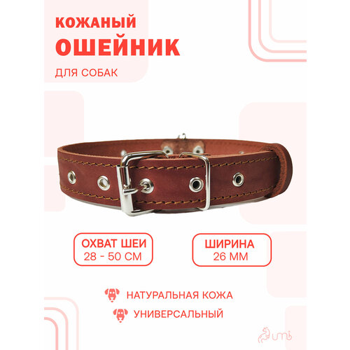 Кожаный ошейник (ширина 26 мм.) универсальный, для средних и крупных пород собак (28-50 см.)