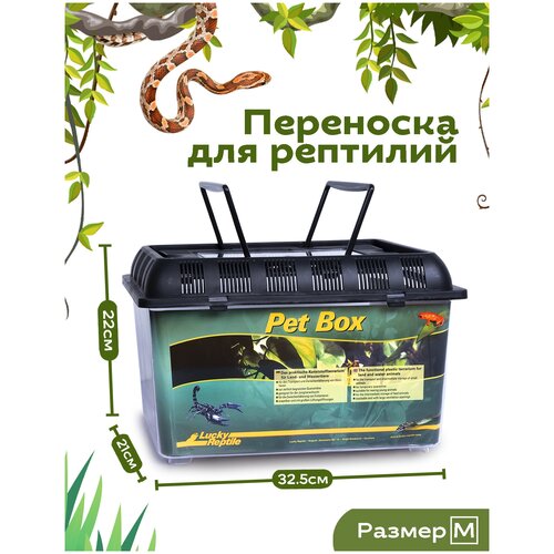 Переноска для рептилий LUCKY REPTILE Pet Box Medium, 32.5x22x21см (Германия)