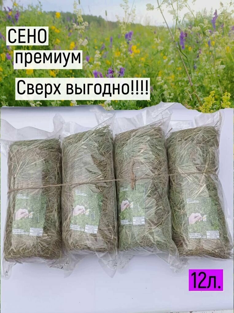 Сено луговое разнотравье