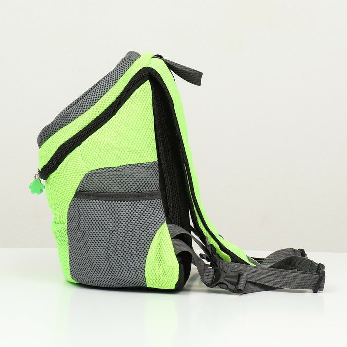 Рюкзак-переноска для животных, максимальный вес 10 кг, 30 х 16 х 34 см, зелёный Пижон 9545839 . - фотография № 2