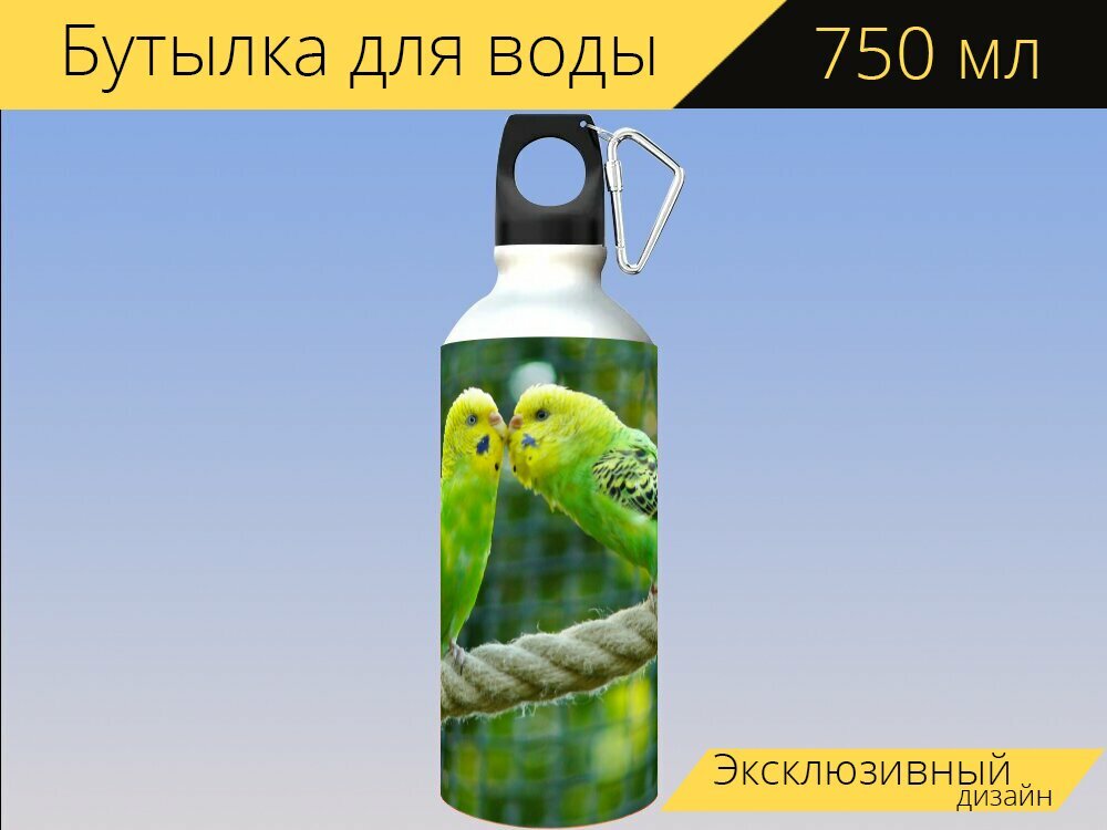 Бутылка фляга для воды "Волнистые попугаи, птицы, попугаи" 750 мл. с карабином и принтом