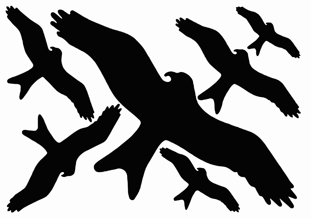 Наклейки-стикеры: силуэты хищных птиц (21 x 30) см - V6