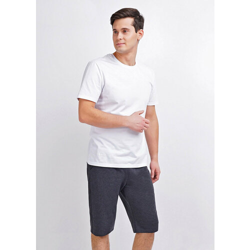 Шорты ЭЙС, размер 46, серый