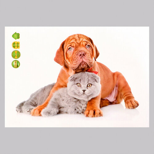 Наклейка 3Д интерьерная Домашние питомцы 2921см 683₽