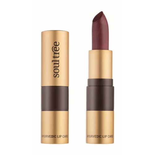 SOULTREE Ayurvedic Lipcare Помада для губ, 4 г, 520 Морозная слива