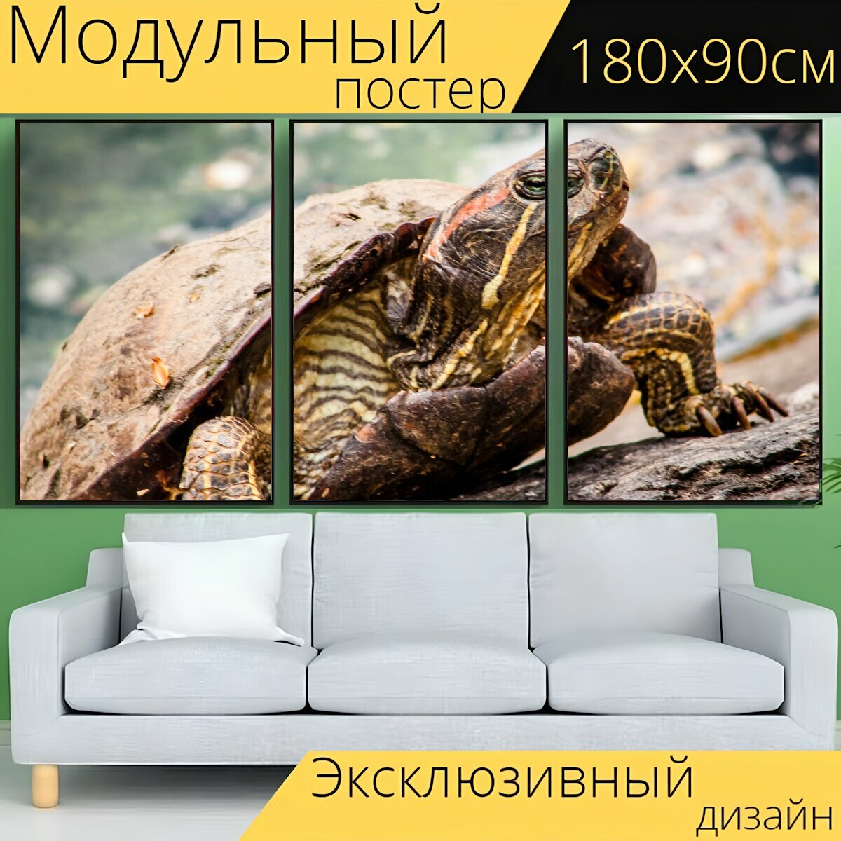 Модульный постер "Черепаха, парк, природа" 180 x 90 см. для интерьера