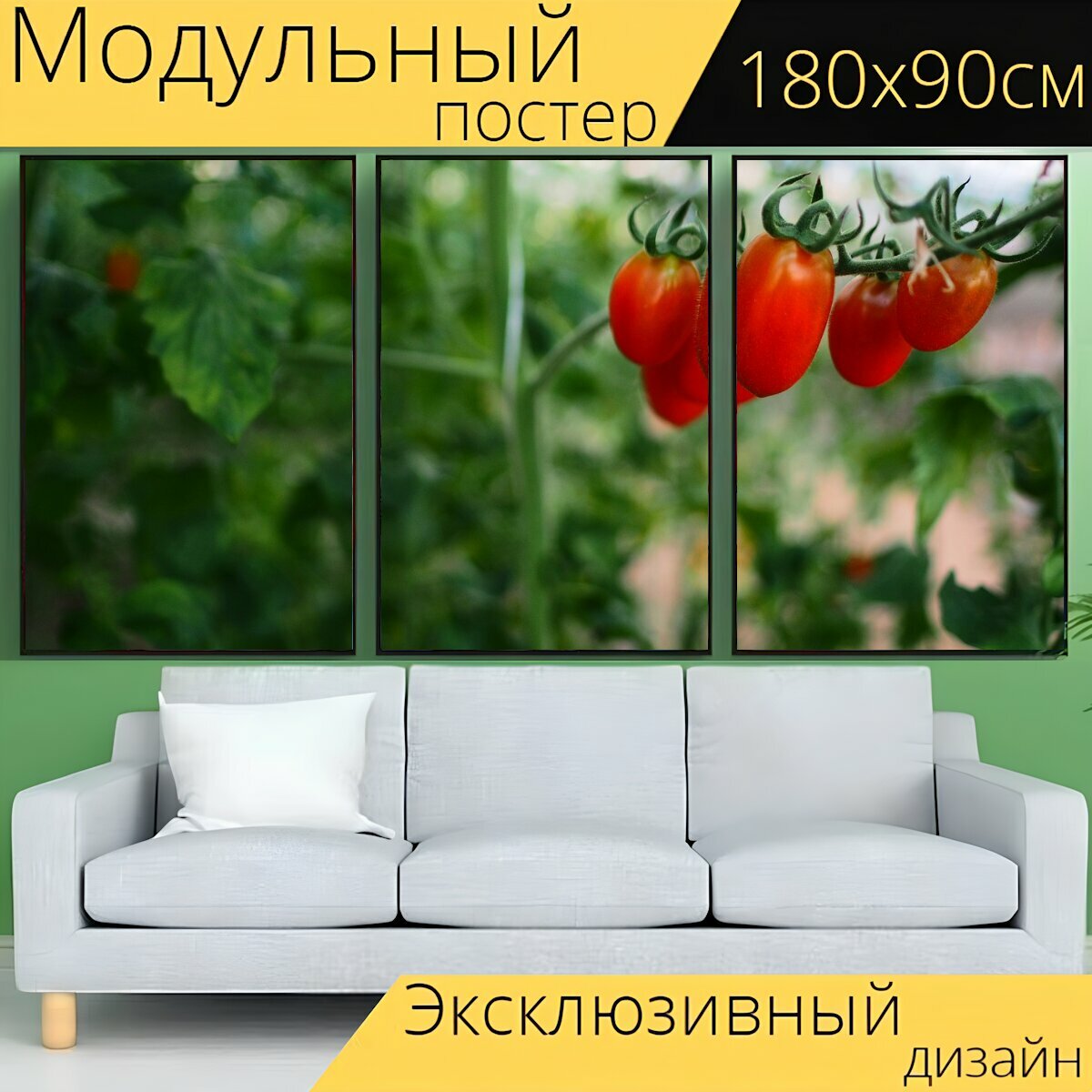 Модульный постер "Помидор, овощ, ферма" 180 x 90 см. для интерьера
