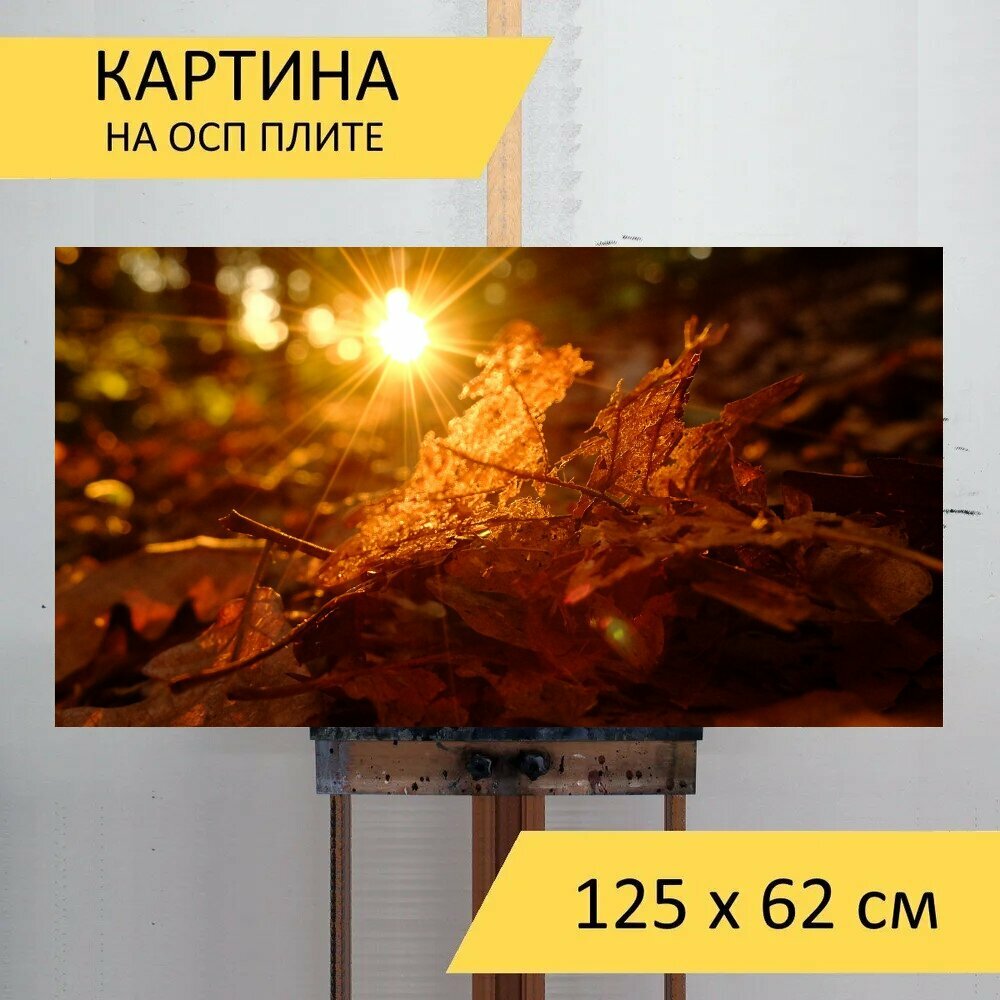 Картина на ОСП 125х62 см. "Солнце, листья, природа" горизонтальная, для интерьера, с креплениями
