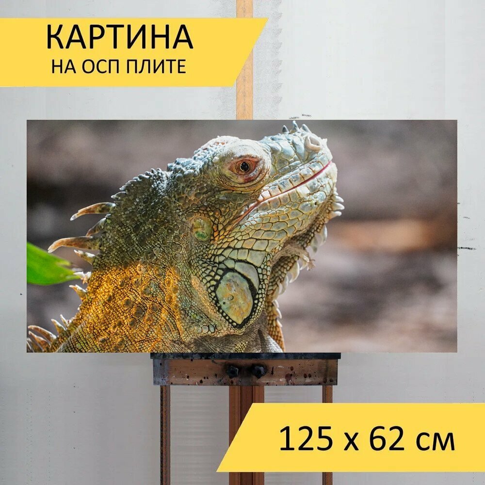 Картина на ОСП 125х62 см. "Игуана, рептилия, террариум" горизонтальная, для интерьера, с креплениями