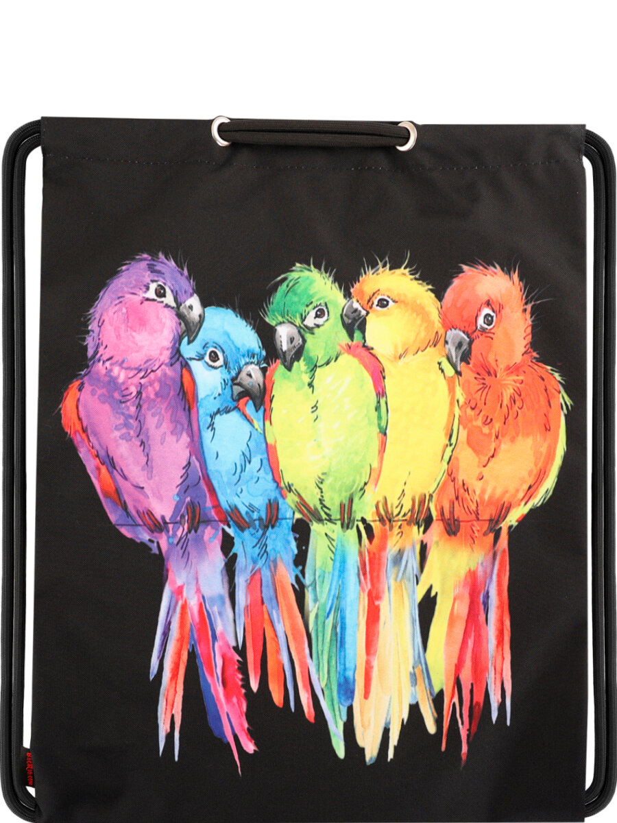 Мешок BagRio BR024/23-Sm - фото №1