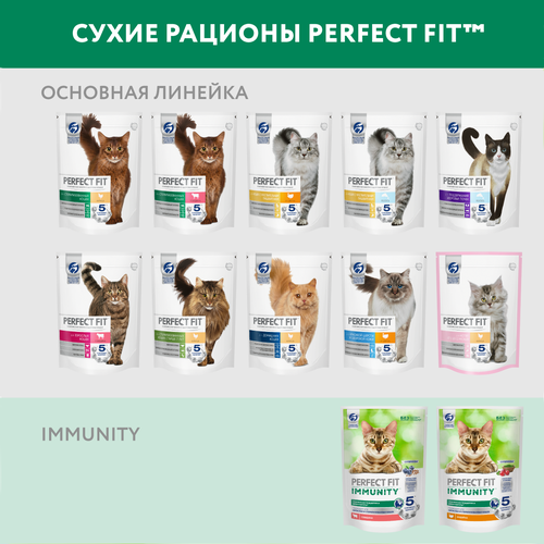 Perfect Fit Immunity Корм сухой для кошек, индейка, спирулина и клюква, 580 гр.