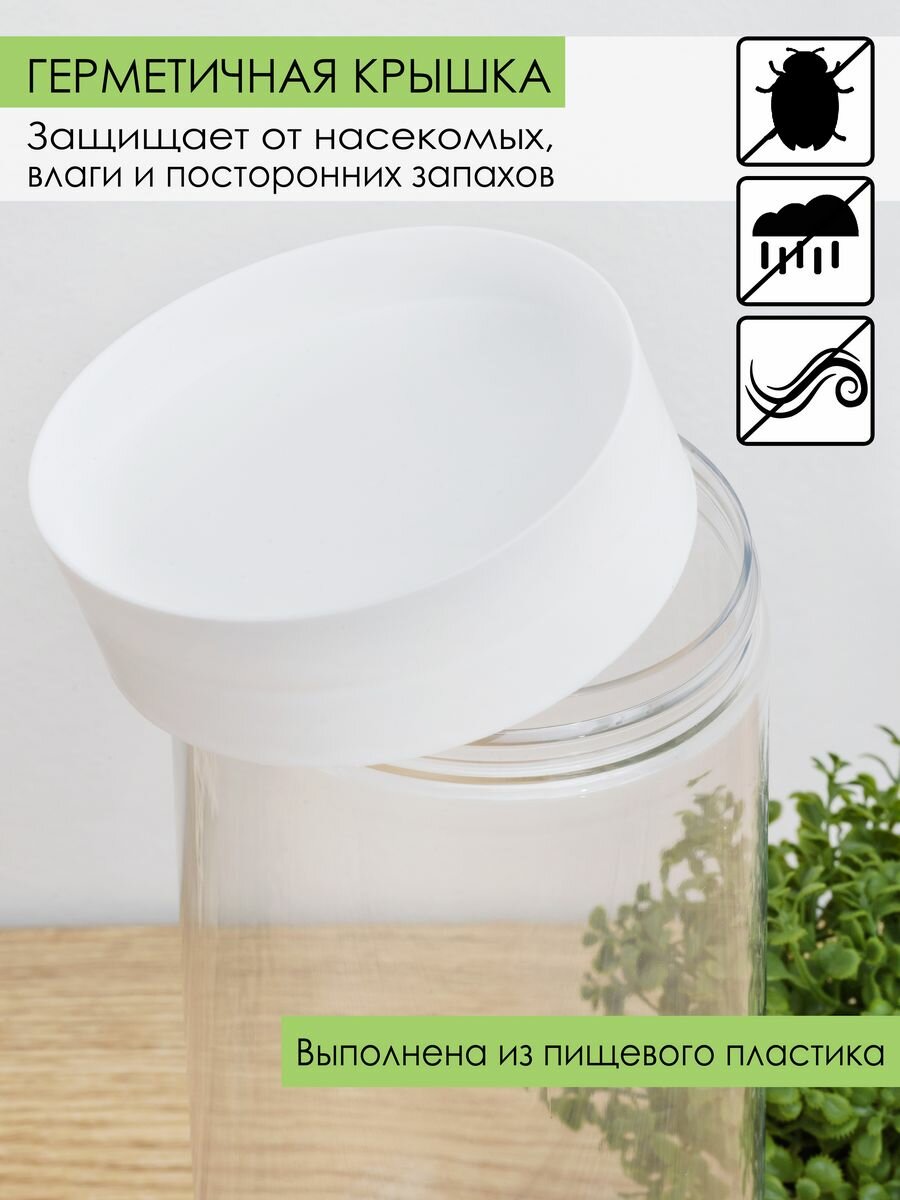 Контейнер для сыпучих продуктов спагетти 1,5 л, пластиковый, набор 2 шт. — фото 1