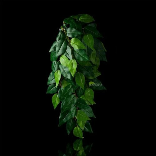 Навесное искусственное растение - Exo-Terra Ficus Silk Medium 2490₽