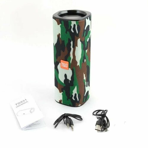 Колонка беспроводная портативная 10Вт 2 динамика TG 531 FM радио USB AUX micro SD 1200мАч цвет хаки с басами 125000₽