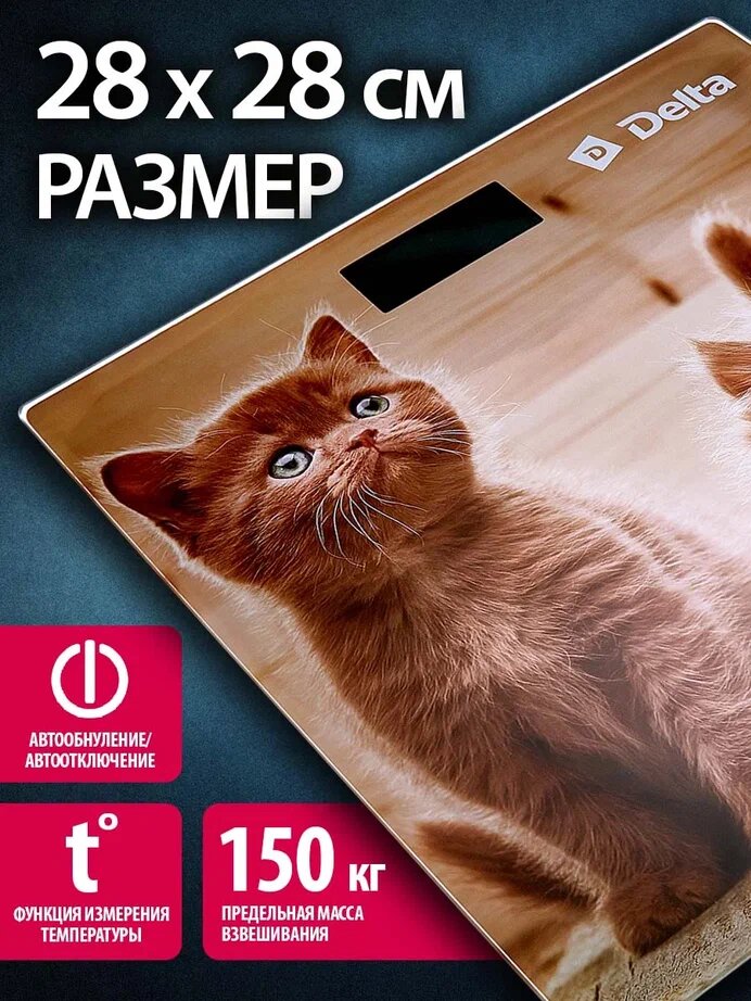 Весы напольные электронные DELTA D-9229 "Рыжие котята" : 150 кг, 28*28см