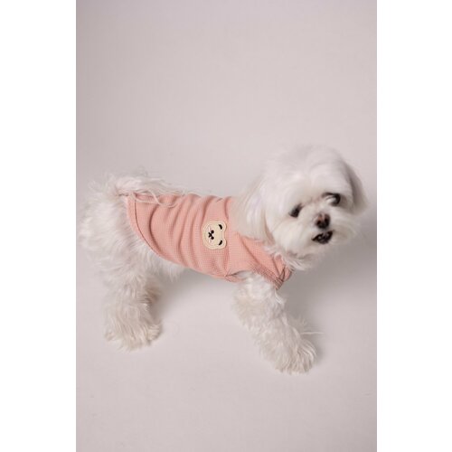 Летний жилет для домашних животных кошек и собак, одежда для средних и мелких пород