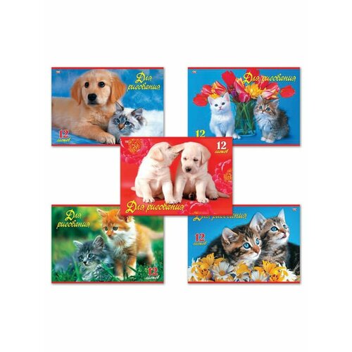 Альбом для рисования