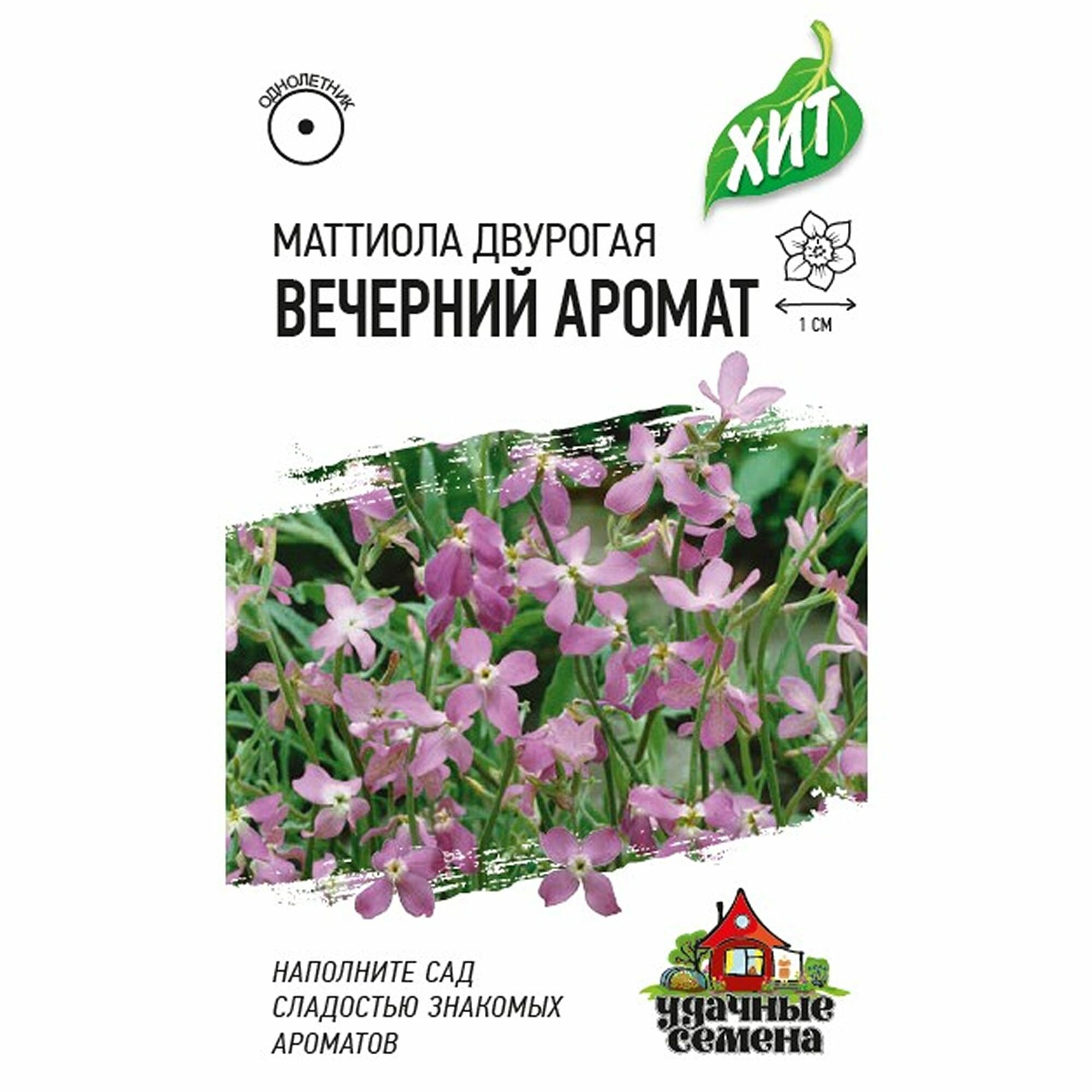 Семена Маттиола Вечерний аромат двурогая смесь однолетник Гавриш - ХИТ х3 1 пачка - 0.3г семян
