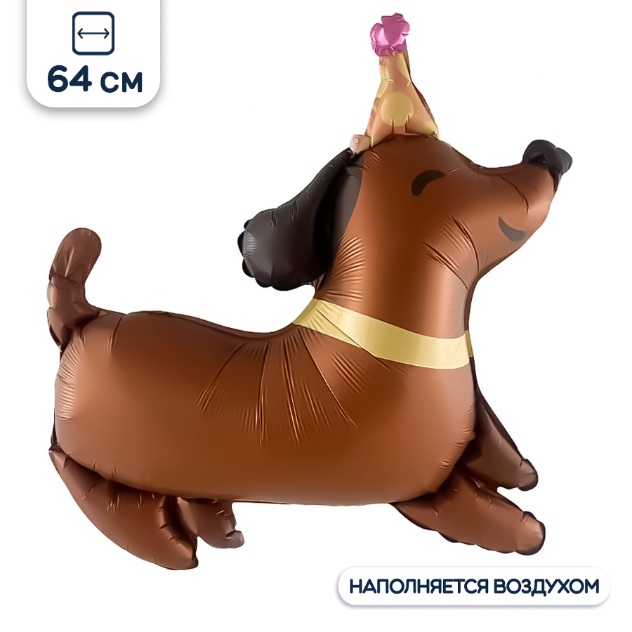 Воздушный шар Такса в колпаке, 64 см