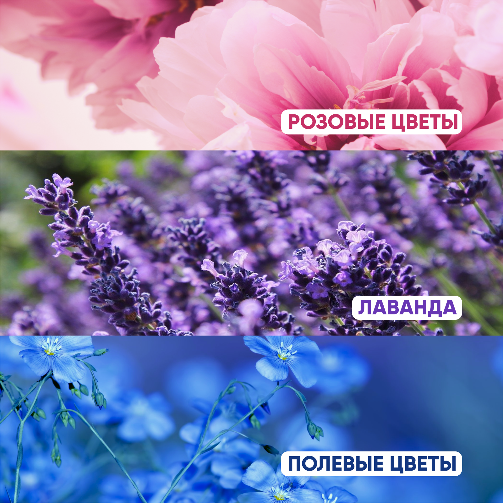 Жидкое мыло для рук, дозатора SimpleWay 3шт, мыло пенка для диспенсера Xiaomi (с ароматом лаванды, полевых цветов, дыни) — фото 1