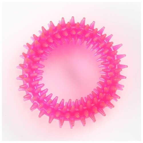 Кольцо для собак Пижон Игольчатое кольцо 6257017, розовый, 1шт.