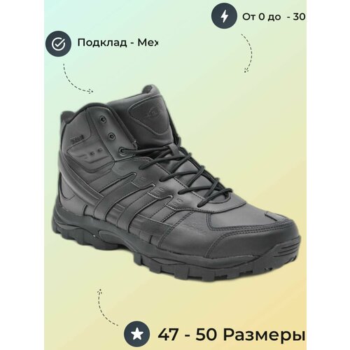 Ботинки Bona P28 V-8-49, зимние, размер 49, черный