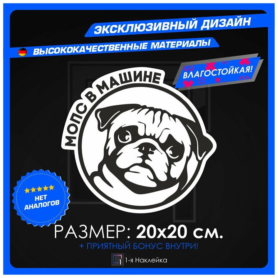 Наклейка стикер на Автомобиль на стекло на кузов Автомобиля Мопс в машине v.2 20х20 см