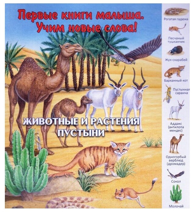 Животные и растения пустыни (Комарова Д. (редактор)) - фото №1
