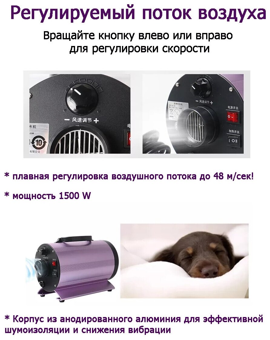 Фен-компрессор для сушки собак и кошек Codos CP-160 325017 - фотография № 5