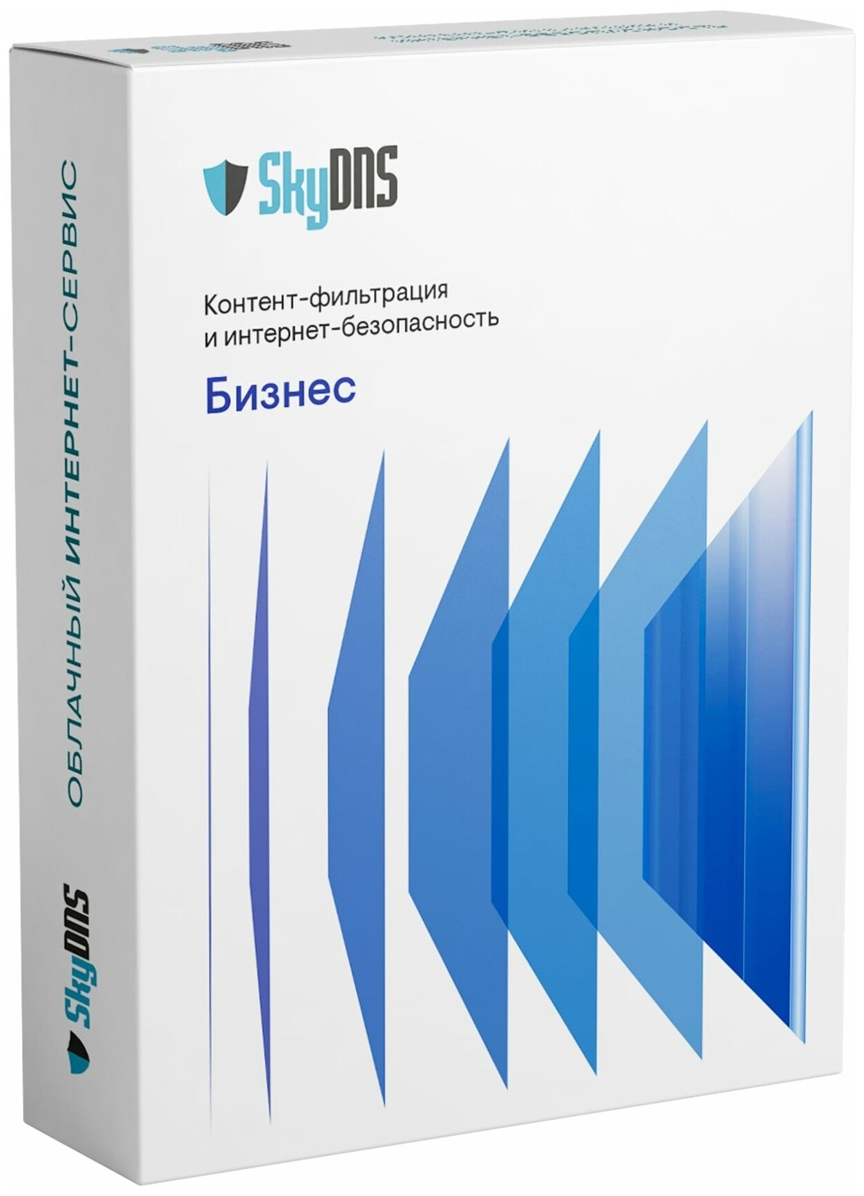 Неискл. право на исп-ие ПО Skydns SkyDNS Бизнес 25 ПК 1г